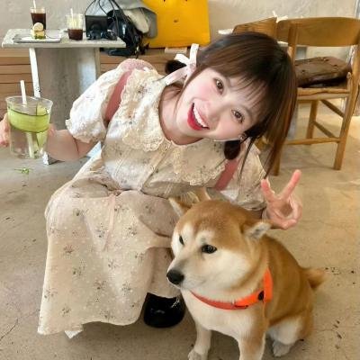 黄昏时分的朋友